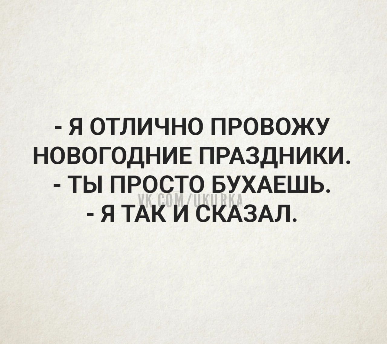 Я ОТЛИЧНО ПРОВОЖУ НОВОГОДНИЕ ПРАЗДНИКИ ТЫ ПРОСТО БУХАЕШЬ Я ТАК И СКАЗАЛ