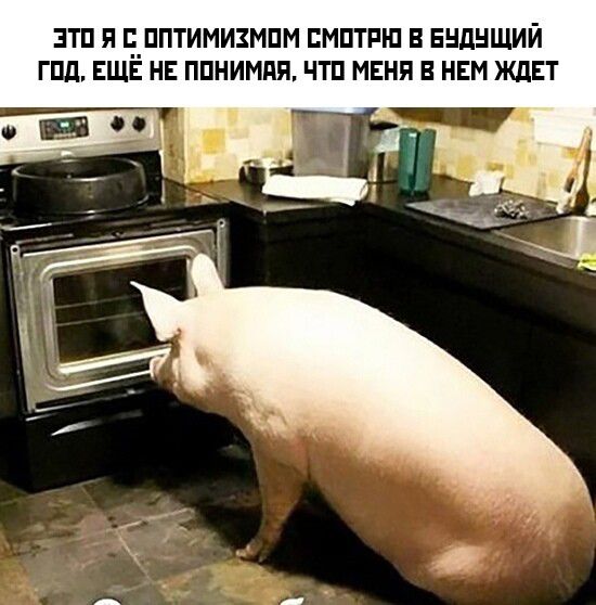 ЭТП Я ЁППТИМИЗМПМ ЕМПТРШ В БЕДНЩИЙ ГПП ЕЩЕ НЕ ППНИМЙЯ ЧТП МЕНЯ НЕМ ЖДЕТ