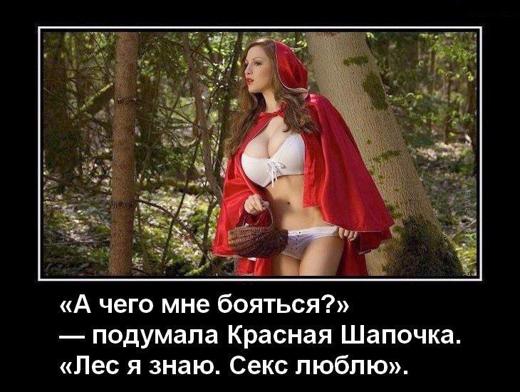 А чего мне бояться подумала Красная Шапочка Лес я знаю Секс люблю