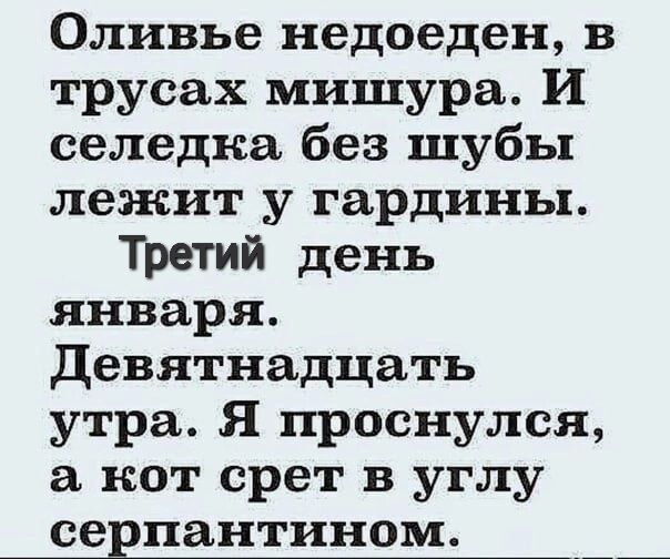 Оливье недоеден в трусах мишура И селедка без шубы лежит у гардины Третий день января девятнадцать утра Я проснулся а кот срет в углу серпантином __