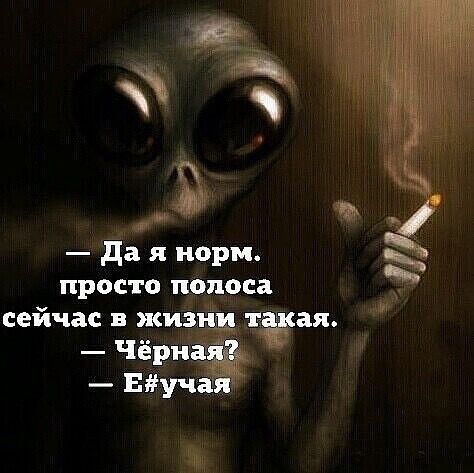 авы А Д да норм просто полоса сейчас жиз ая _ Чёриё _ Буч