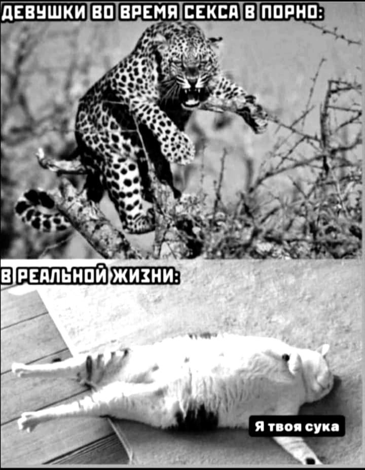 ПЕВНШКИ ВП ЁРЕМПЪЕЕКЁП В ППРНП