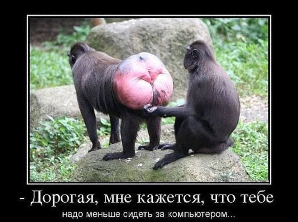 Дорогая мне кажется что тебе надо меньше сидеть за шмпьтером