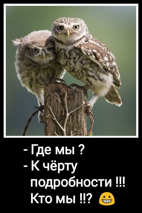 Где мы К чёрту подробности Кто мы _