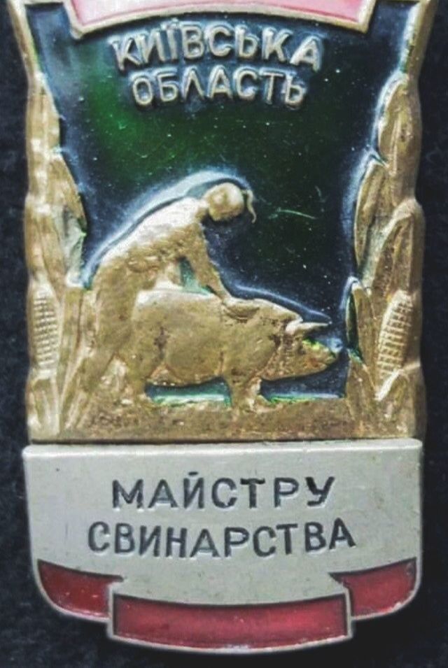 МАЙСТРУ СВИНАРСТВА Г