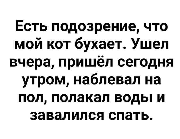 Есть подозрение что мой кот бухает Ушел вчера пришёл сегодня утром наблевал на пол попакал воды и завалился спать