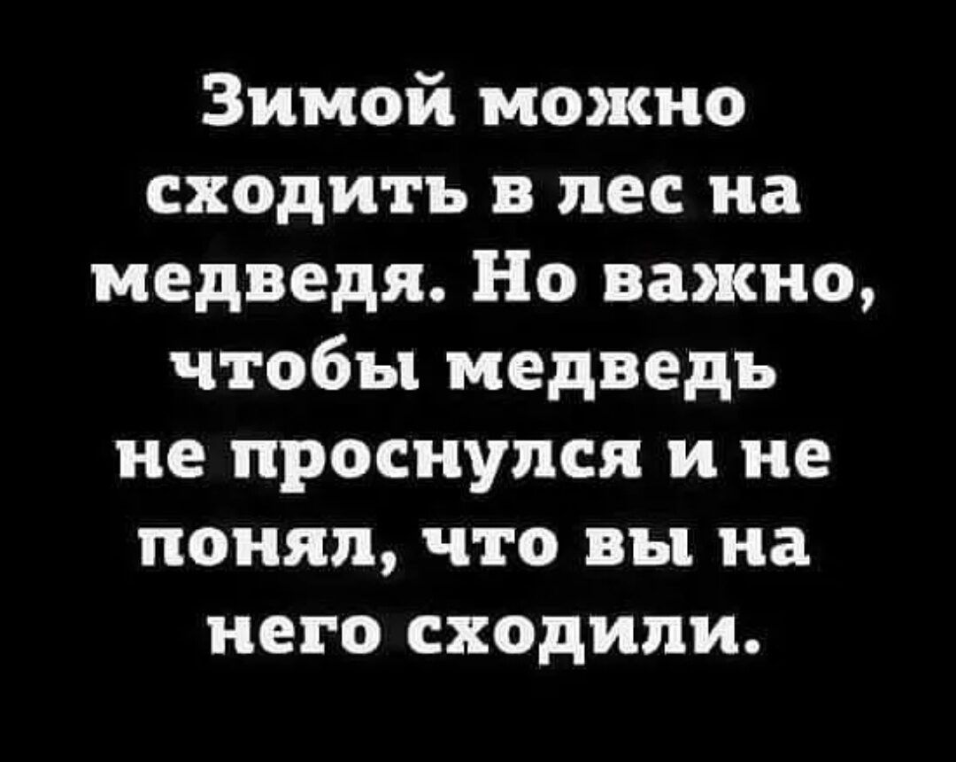 Зимой можно сходить в лес на медведя Но важно чтобы медведь не проснулся и не понял что вы на него сходили