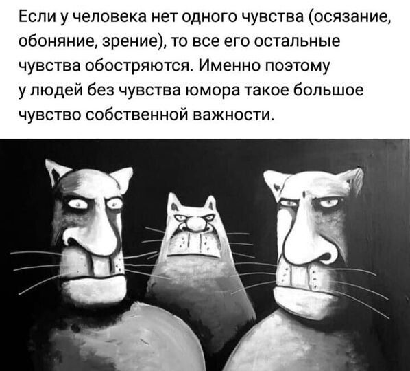 ЕСЛИ у человека нет ОДНОГО ЧУВСТЕЭ осязание обоняние зрение ТО все ЕГО остальные чувства обостряются Именно поэтому у людей без чувства юмора такое большое чувство собственной важности