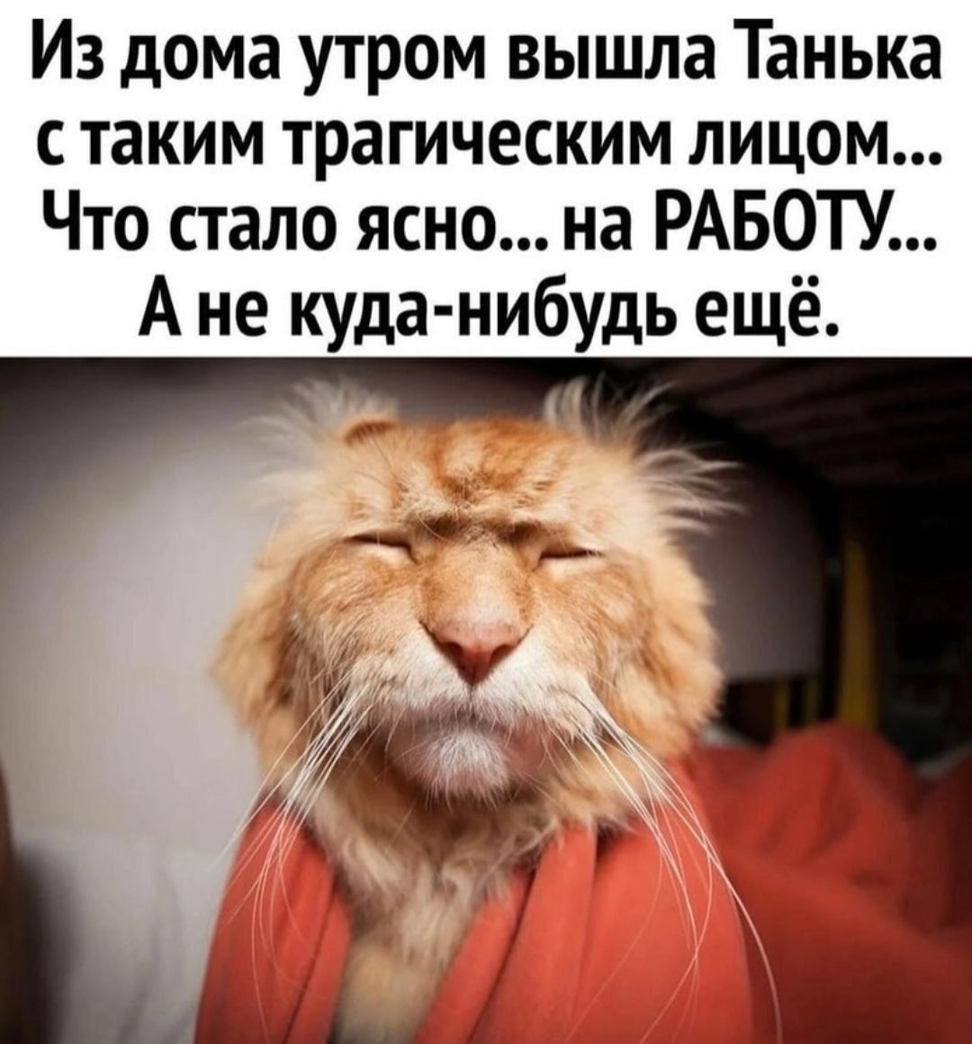 Из дома утром вышла Танька таким трагическим лицом Что стало ясно на РАБОТУ А не куда нибудь ещё