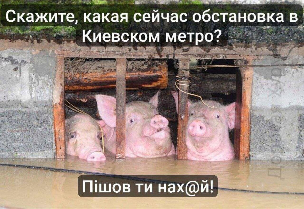 СКЭЖИТе какая сейчас ОбСТаНОВКЗ В Киевском метро ПіШОВ ти нах и _ _ __
