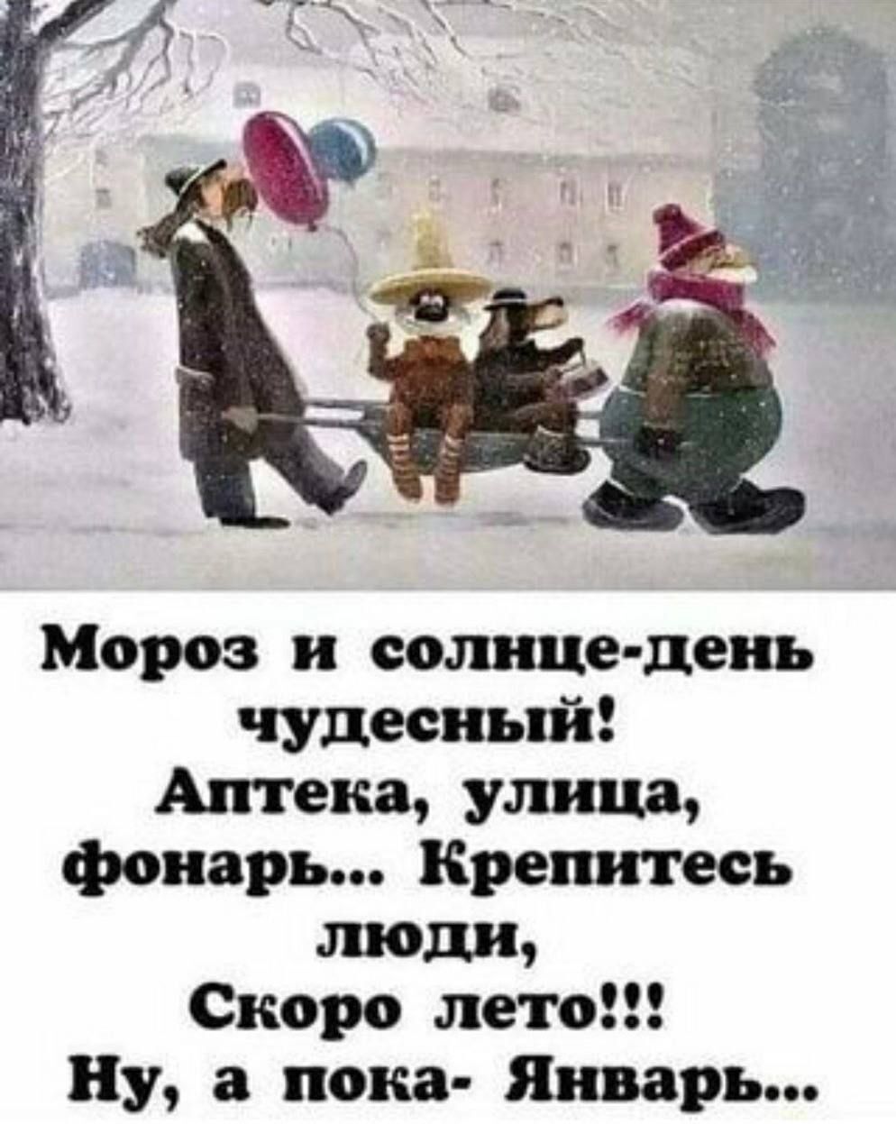 Мороз и солнце день чудесный Аптека улица фонарь Крепитесь люди Скоро лето Ну а пока Январь