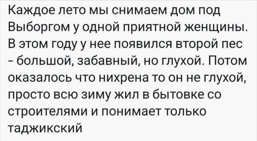 Каждое лето мы снимаем дом под Выборгом у одной приятной женщины В этом году у нее появился второй пес большой забавный но глухой Потом оказалось ЧТО нихрена ТО ОН не ГПУХОЙ просто всю зиму жил в бытовке со СТрОИТеПЯМИ И ПОНИМЭЕТ ТОЛЬКО таджикский