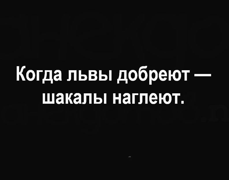 Когда львы добреют шакалы наглеют