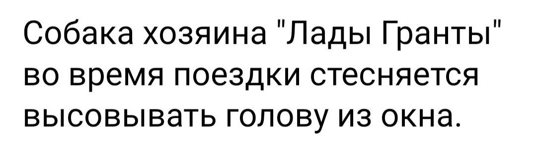 Собака хозяина Лады Гранты во время поездки стесняется высовывать голову из окна