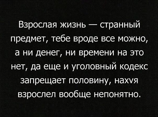 Взрослая жизнь сгранный предмет тебе вроде все можно а ни денег ни времени на это нет да еще и уголовный кодекс запрещает половину нахуя взроспеп вообще непонятно