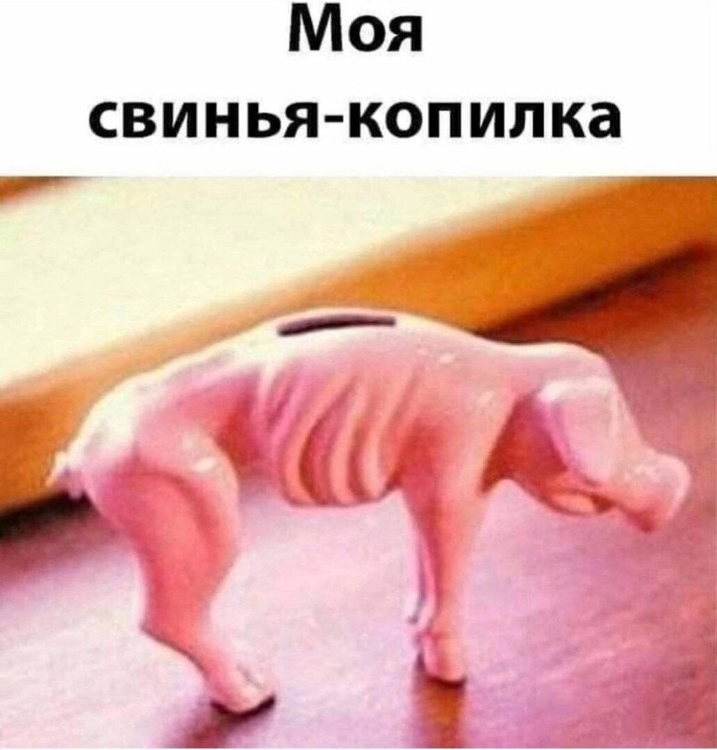 Моя свинья копилка