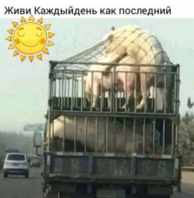 Живиаждыйдень как последний