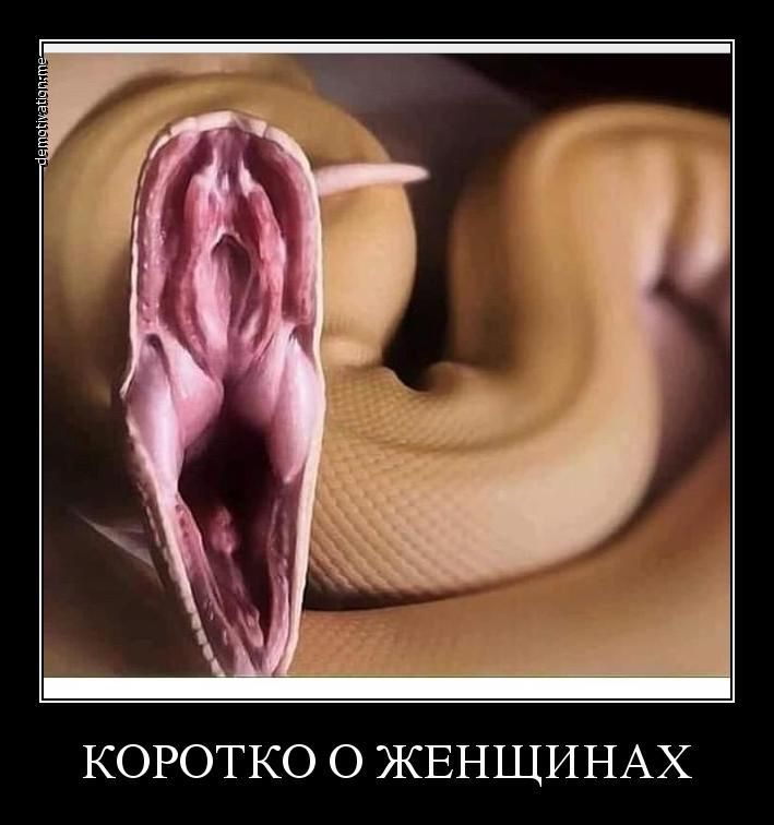 КОРОТКО О ЖЕНЩИНАХ