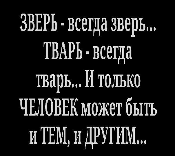 ЗВЕРЬ всегда зверь ТВАРЬ всегда тварь И только ЧЕЛОВЕК может быть иТЕМиДРУГИМ