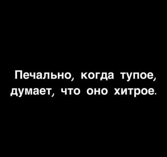 Печально когда тупое думает что оно хитрое