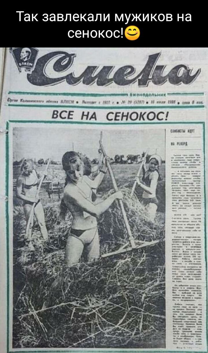 Так завлекали мужиков на сенокосе