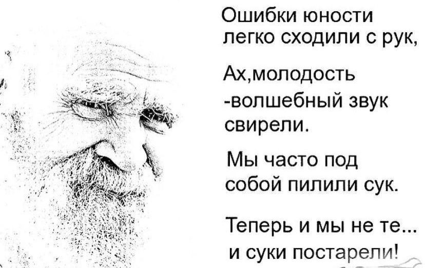 Ошибки юности легко сходили с рук Ахмоподость вопшебный звук свирели Мы часто под собой пипипи сук Теперь и мы не те и суки постарели