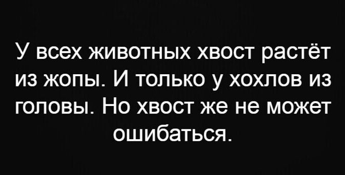 У всех животных хвост растёт ИЗ ЖОПЫ И ТОПЬКО у ХОХПОВ ИЗ головы Но хвост же не может ошибаться