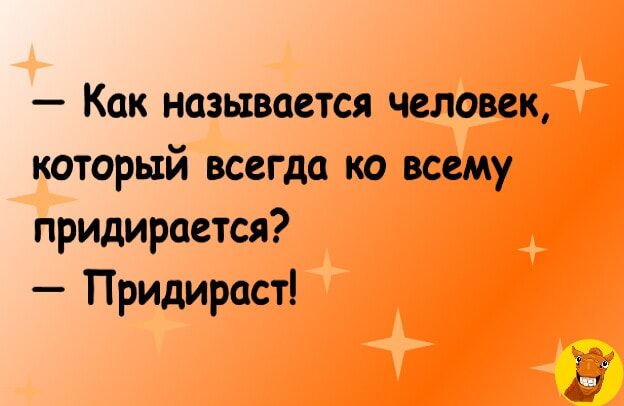 Как называется человек который всегда ко всему Прицирается Придираст 0