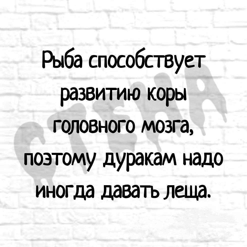 Рыба способствует развитию коры головного мозга поэтому дуракам надо иногда давать леща