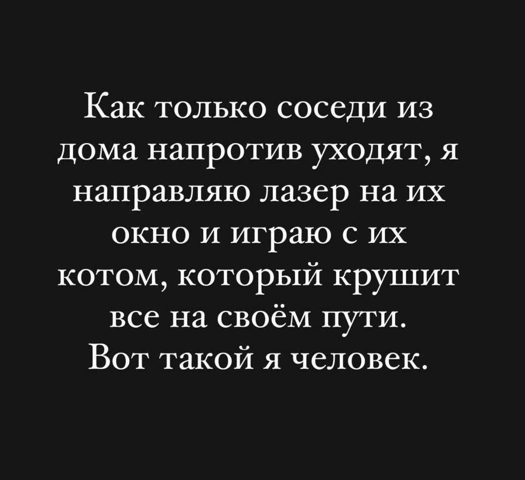 Как только соседи из дома напротив уходят я направляю лазер на их окно и играю с их котом7 который крушит все на своём пути Вот такой я человек