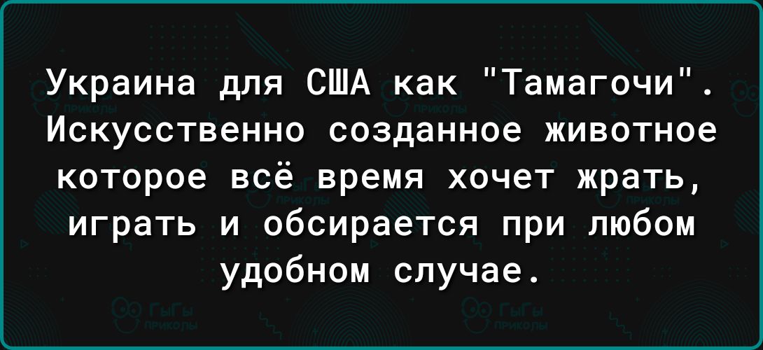 Украина для США как Тамагочи Искусственно созданное животное которое всё время хочет жрать играть и обсирается при любом удобном случае