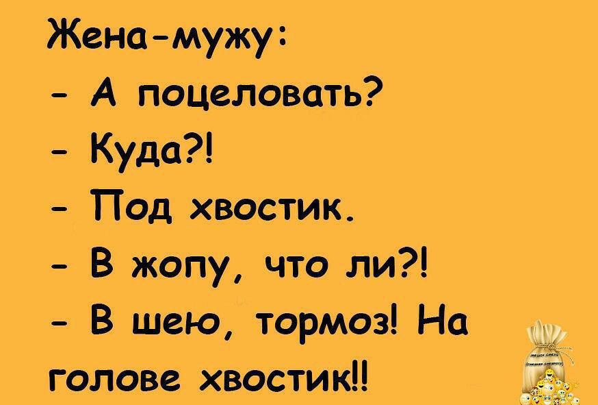 Женамужу А поцеловать Куда под хвостик В жопу что ли В шею тормоз На голове хвостикп