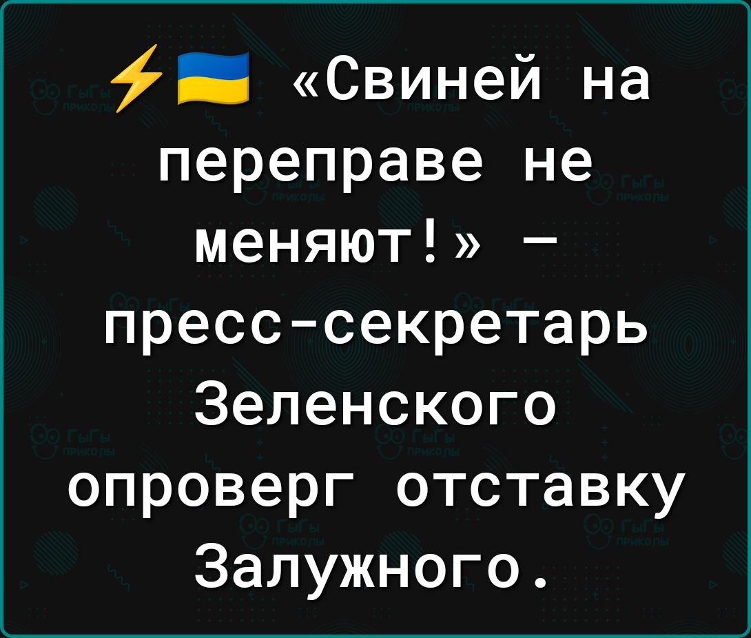 Свиней на переправе не меняют пресс секретарь Зеленского опроверг отставку Залужного