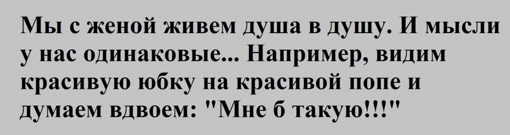 Мы с женой живем душа в душу И мысли у нас одинаковые Например видим красивую юбку на красивой попе и думаем вдвоем Мне б такую