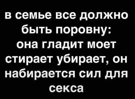 в семье все должно быть поровну она гладит моет стирает убирает он набирается сил для секса