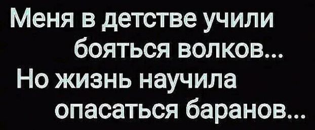 Меня в детстве учили бояться волков Но жизнь научила опасаться баранов