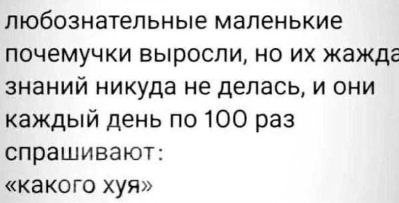 любознательные маленькие почемучки выросли но их жажда знаний никуда не делась и они каждый день по 100 раз спрашивают какого хуя