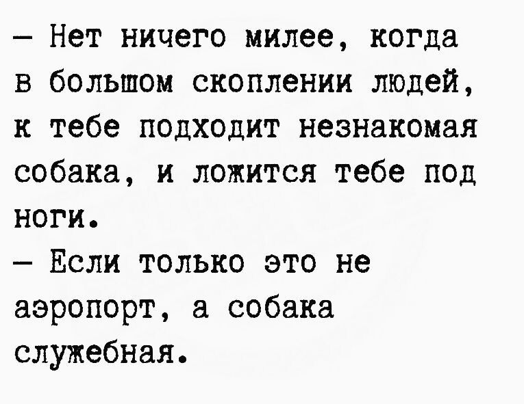 Нет ничего милее когда в большом скоплении людей к тебе подходит незнакомая собака и ложится тебе под ноги Если только это не аэропорт а собака служебная