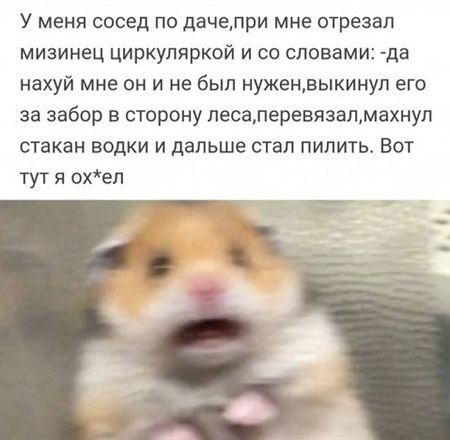 У МЕНЯ сосед ПО ДЭЧЕЛРИ МНЕ отрезал мизинец циркуляркой и со словами да нахуй мне он и не был нуженвыкинул его за забор в сторону песалеревязалмахнуп стакан водки и дальше стал пилить Вот тут я охел