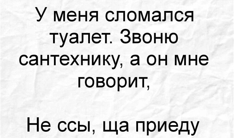 У меня сломался туалет Звоню сантехнику а он мне говорит Не ссы ща приеду