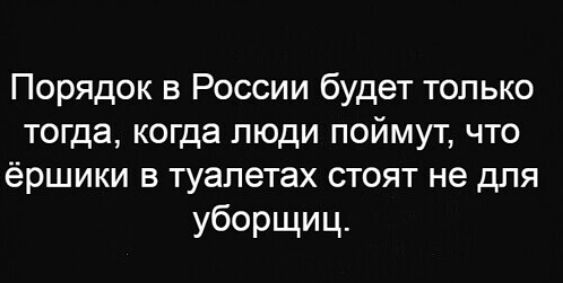 Порядок в России будет только тогда когда люди поймут что ёршики в туалетах стоят не для уборщиц