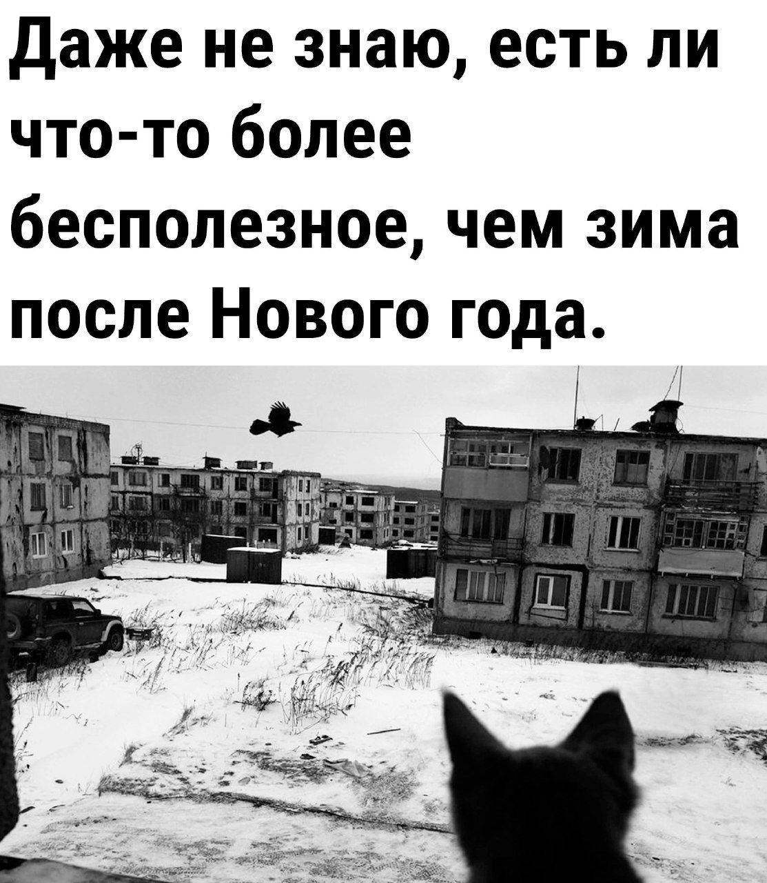 даже не знаю есть ли что то более бесполезное чем зима после Нового года