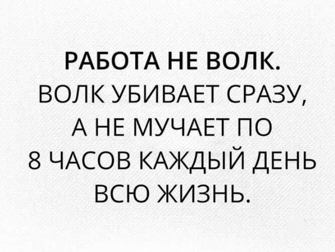 РАБОТА не волк волк УБИВАЕТ СРАЗУ А НЕ МУЧАЕТ по 8 ЧАСОВ КАЖДЫЙ ДЕНЬ всю жизнь