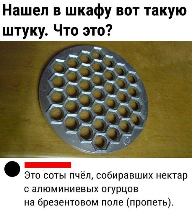 Нашел в шкафу вот такую штуку Что это Это соты пчёл собиравших нектар с алюминиевых огурцов на брезентовом поле пропеть