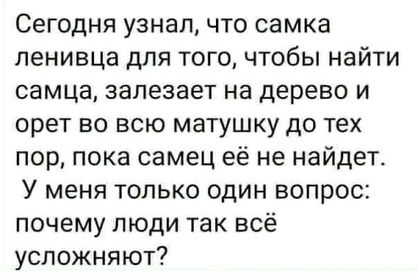 Сегодня узнал что самка ленивца для тогочтобы найти самца залезает на дерево и орет во всю матушку до тех пор пока самец её не найдет У меня только один вопрос почему люди так всё усложняют