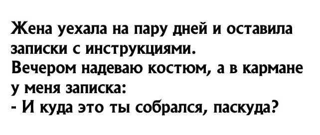 Жена уехала на пару дней и оставила ЗЗПИСКИ С ИНСТРУКЦИЯМИ Вечером надеваю костюм а в кармане у меня записка И куда это ты собрался паскула