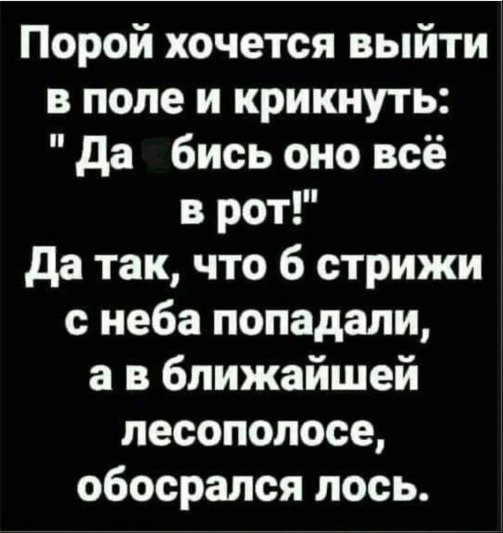 Порой хочется выйти в поле и крикнуть да бись оно всё в рот да так что 6 стрижи с неба попадали а в ближайшей песопопосе обосрался лось