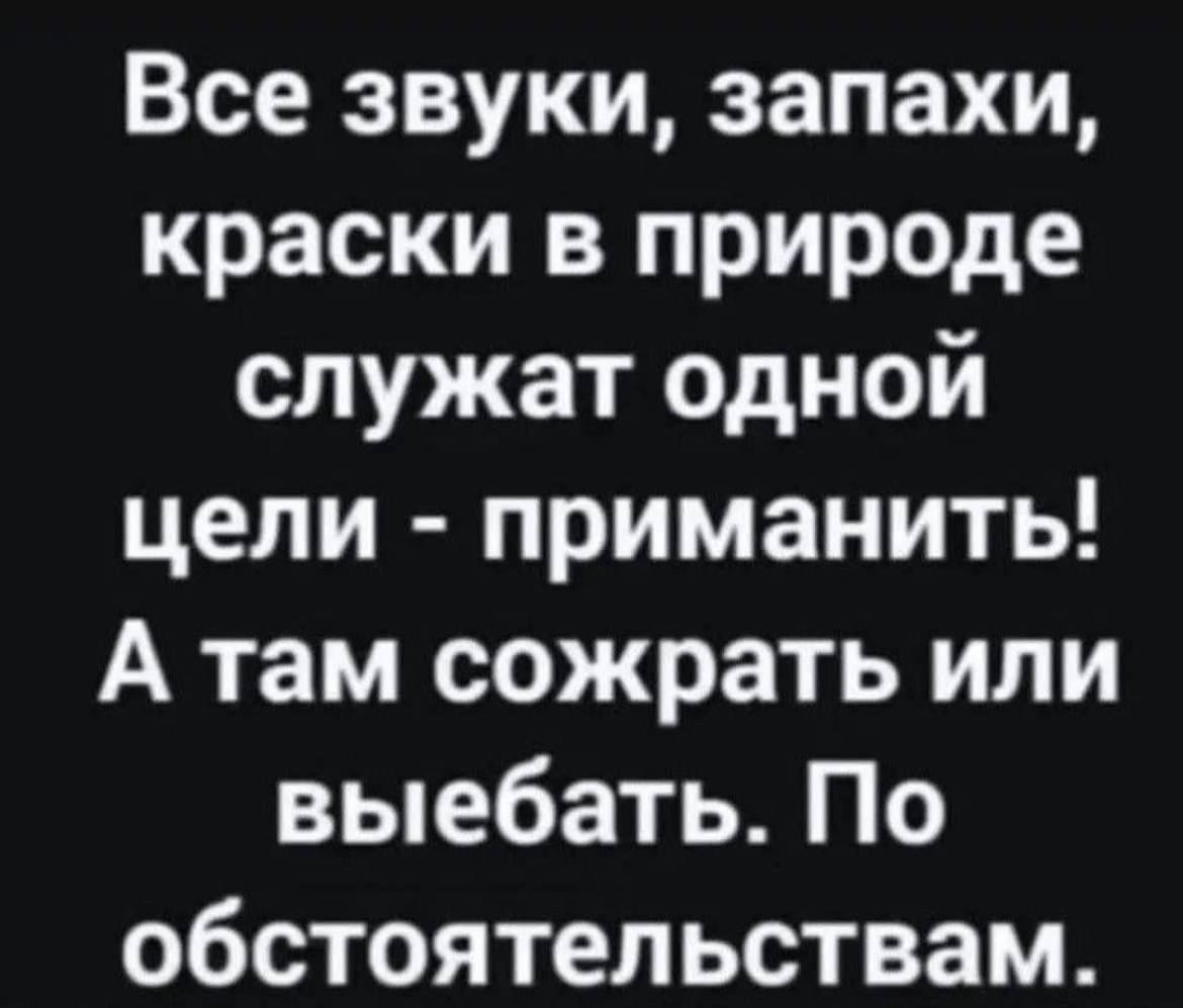 Все звуки запахи краски в природе служат одной цели приманить А там сожрать или выебать По обстоятельствам