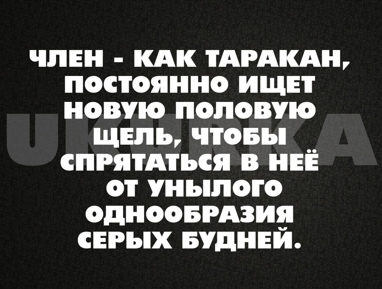 чпнн кпк тдгдкдн постоянно ищн новую половую щшь чтовы _ спрятдться в неё от унылого однооврдзия серых вуднви