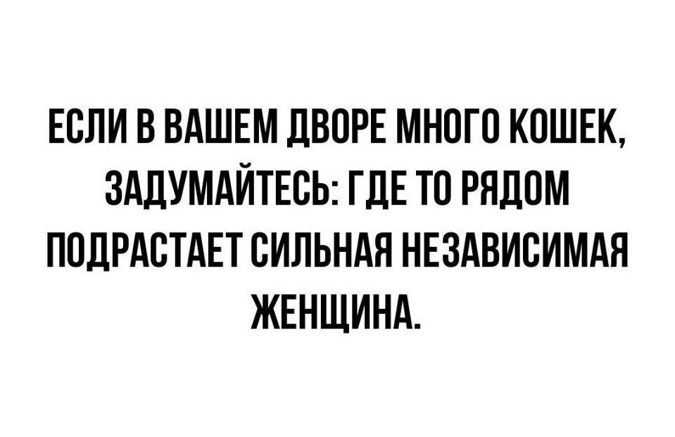 ЕСЛИ В ВАШЕМ ЛВОРЕ МНОГО КОШЕК ЗАЛУМАЙТЕСЬ ГДЕ ТП РПЛПМ ППДРАСТАЕТ ВИЛЬНАЯ НЕЗАВИСИМАЯ ЖЕНЩИНА